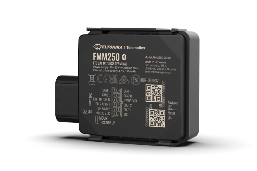 Fuel monitoring device FMM250 details and features
